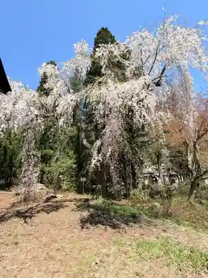高照神社の{uncategorized: "未分類", other: "その他", undefined: "問題あり", building: "その他建物", grave: "お墓", sacred_gate: "鳥居", guardian: "狛犬", statue: "像", buddha: "仏像", history: "歴史", nature: "自然", garden: "庭園", animal: "動物", pagoda: "塔", temizu: "手水舎", mountain_gate: "山門・神門", sanctuary: "本殿・本堂", subordinate: "末社・摂社", art: "芸術", scenery: "景色", jizo: "地蔵", ema: "絵馬", goshuin: "御朱印", omikuji: "おみくじ", items: "授与品その他", amulet: "お守り", goshuincho: "御朱印帳", eats: "食事", festival: "お祭り", votive_dance: "神楽", shichigosan: "七五三参", wedding: "結婚式", experience: "体験その他", initially: "初詣", around: "周辺", anti_infection: "感染症対策"}