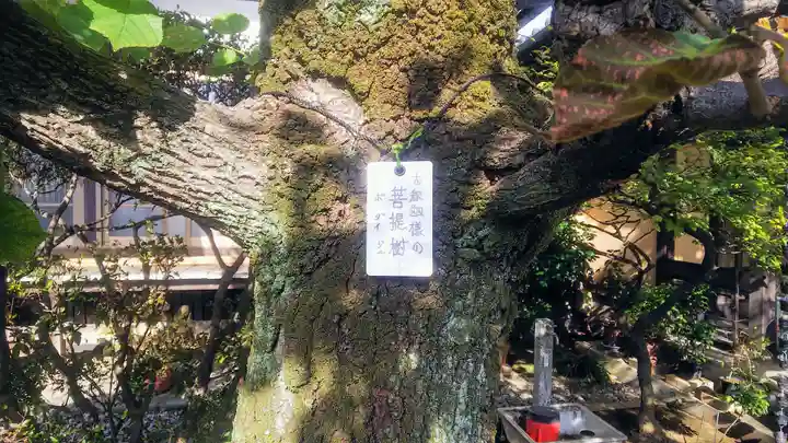 三光院のその他建物