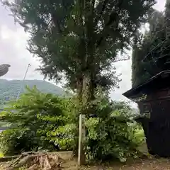 白山神社(岐阜県)