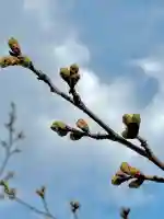 蚊里田八幡宮の{uncategorized: "未分類", other: "その他", undefined: "問題あり", building: "その他建物", grave: "お墓", sacred_gate: "鳥居", guardian: "狛犬", statue: "像", buddha: "仏像", history: "歴史", nature: "自然", garden: "庭園", animal: "動物", pagoda: "塔", temizu: "手水舎", mountain_gate: "山門・神門", sanctuary: "本殿・本堂", subordinate: "末社・摂社", art: "芸術", scenery: "景色", jizo: "地蔵", ema: "絵馬", goshuin: "御朱印", omikuji: "おみくじ", items: "授与品その他", amulet: "お守り", goshuincho: "御朱印帳", eats: "食事", festival: "お祭り", votive_dance: "神楽", shichigosan: "七五三参", wedding: "結婚式", experience: "体験その他", initially: "初詣", around: "周辺", anti_infection: "感染症対策"}