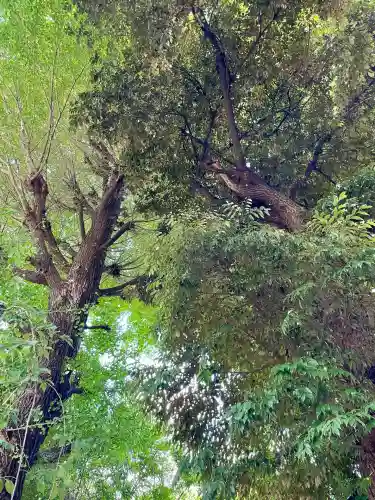 目黒富士浅間神社(東京都)