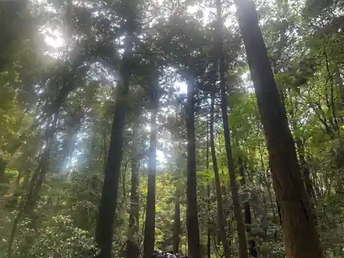 鹿島神宮(茨城県)