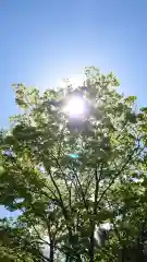 相馬神社の自然