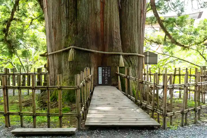 戸隠神社中社(長野県)