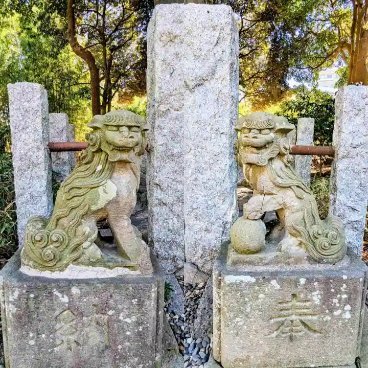 菊田神社の狛犬