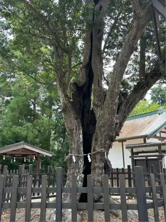 天宮神社(静岡県)