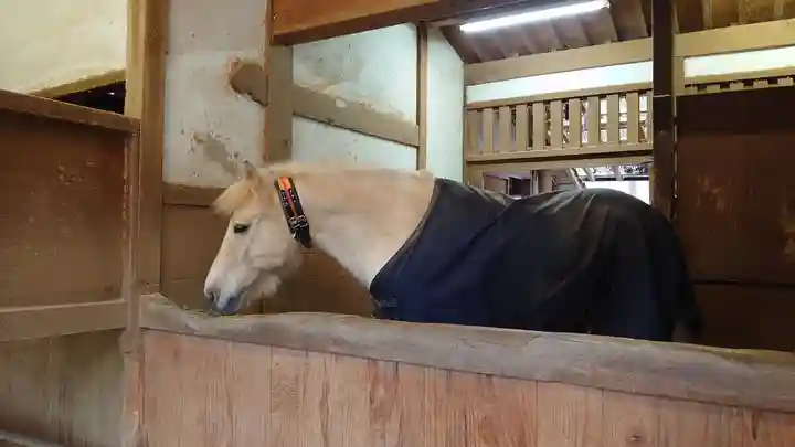 金刀比羅宮(香川県)