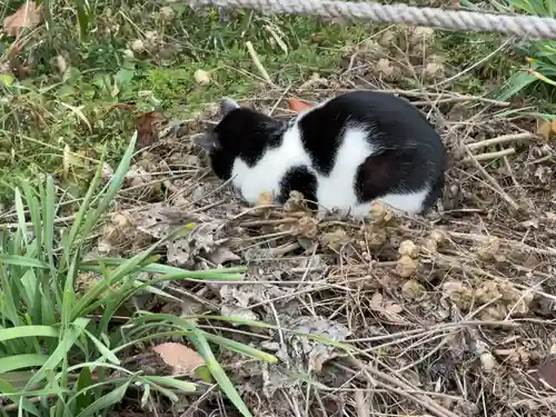 浄瑠璃寺(京都府)