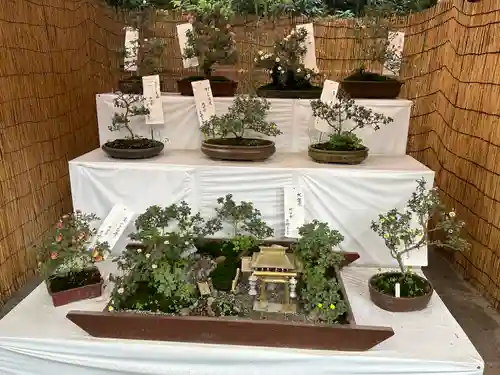 明治神宮(東京都)