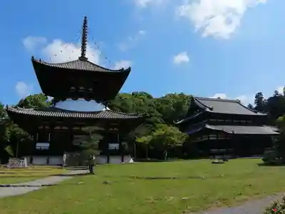 根来寺のその他建物