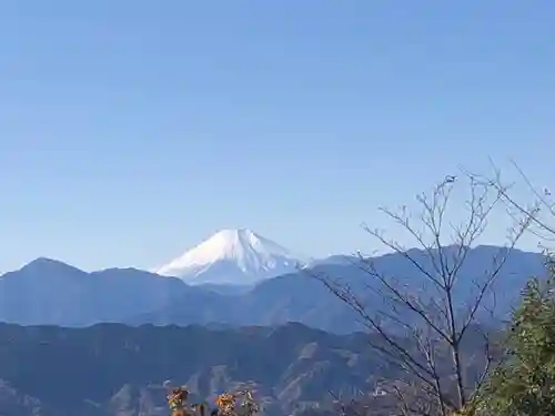 高尾山薬王院の景色