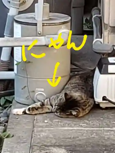 白金氷川神社(東京都)