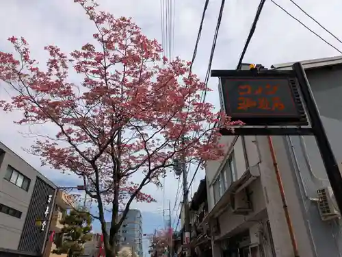 覚王山 日泰寺(愛知県)