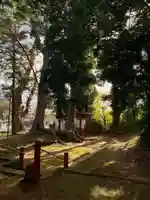 麻賀多神社(千葉県)