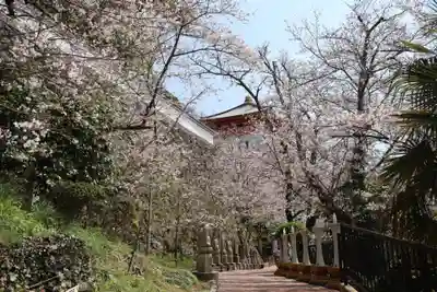 金剛宝寺(紀三井寺)(和歌山県)
