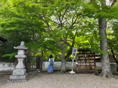 南都鏡神社(奈良県)