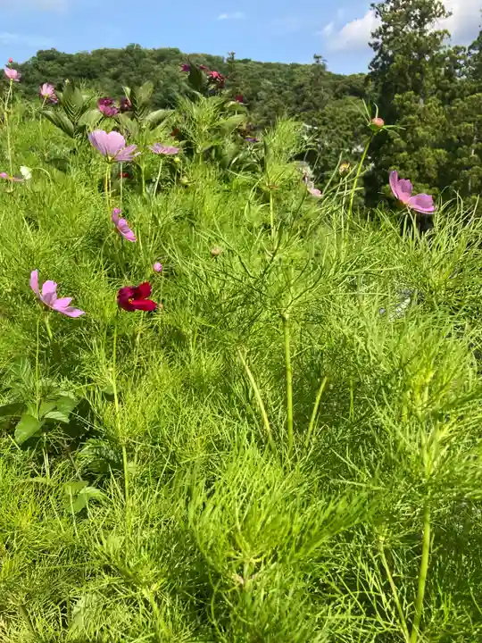 松嶺院(神奈川県)