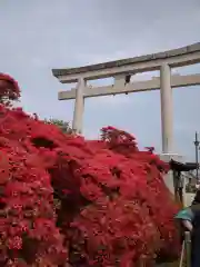 長岡天満宮の鳥居