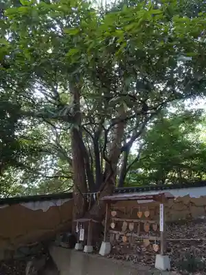 鶴崎神社(岡山県)