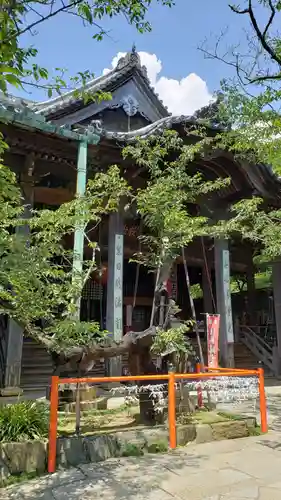 金剛宝寺（紀三井寺）の本殿・本堂