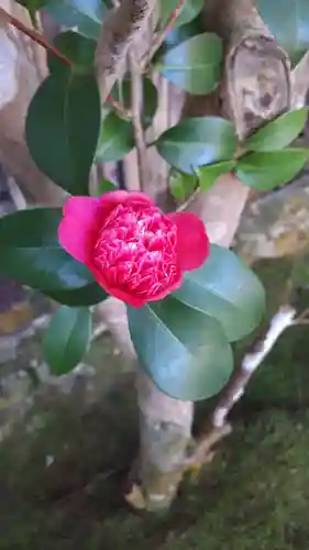 慈照寺（慈照禅寺・銀閣寺）(京都府)