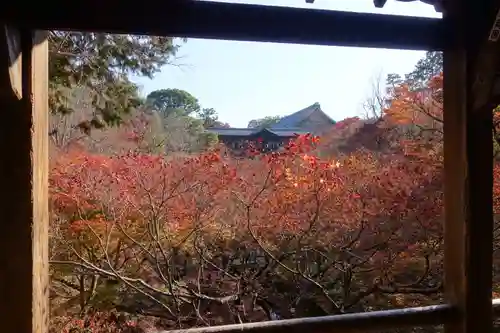 東福禅寺（東福寺）の景色