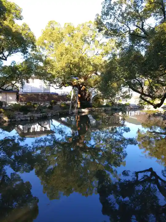 太宰府天満宮(福岡県)