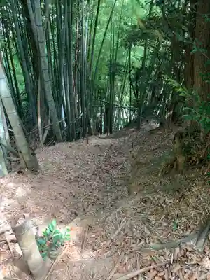 愛宕大権現(千葉県)