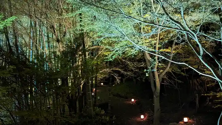 高台寺(高台寿聖禅寺・高臺寺)(京都府)