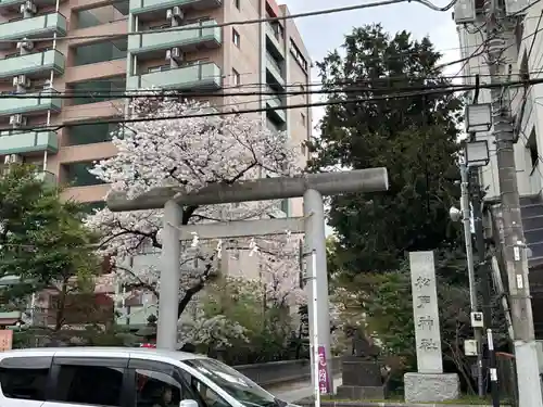 松戸神社の鳥居