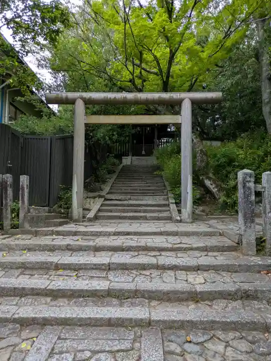 今宮神社の{uncategorized: "未分類", other: "その他", undefined: "問題あり", building: "その他建物", grave: "お墓", sacred_gate: "鳥居", guardian: "狛犬", statue: "像", buddha: "仏像", history: "歴史", nature: "自然", garden: "庭園", animal: "動物", pagoda: "塔", temizu: "手水舎", mountain_gate: "山門・神門", sanctuary: "本殿・本堂", subordinate: "末社・摂社", art: "芸術", scenery: "景色", jizo: "地蔵", ema: "絵馬", goshuin: "御朱印", omikuji: "おみくじ", items: "授与品その他", amulet: "お守り", goshuincho: "御朱印帳", eats: "食事", festival: "お祭り", votive_dance: "神楽", shichigosan: "七五三参", wedding: "結婚式", experience: "体験その他", initially: "初詣", around: "周辺", anti_infection: "感染症対策"}