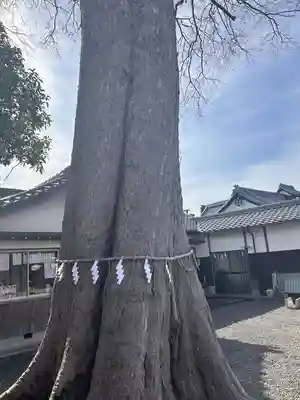 神館飯野高市本多神社(三重県)