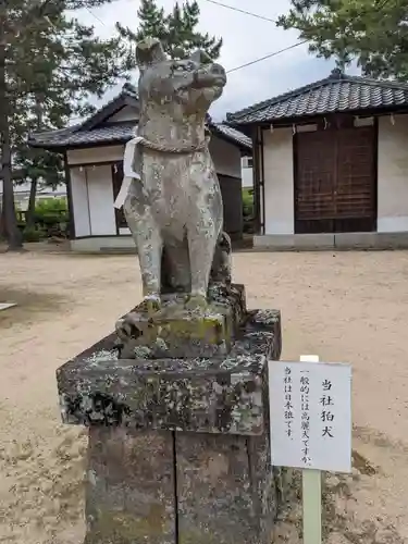 石清水神社の狛犬