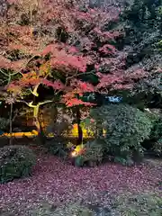 閑臥庵(京都府)