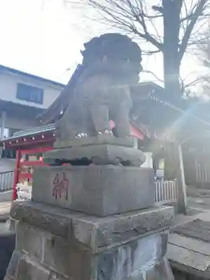 滝野川八幡神社の狛犬