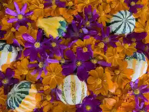 立志神社(滋賀県)(2024年10月02日(水) 12時27分19秒投稿)