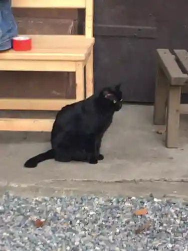 小野照崎神社の動物