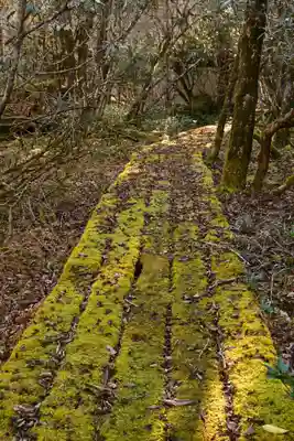 野鹿池神社(徳島県)