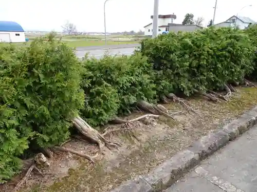 雨竜　専福寺の自然