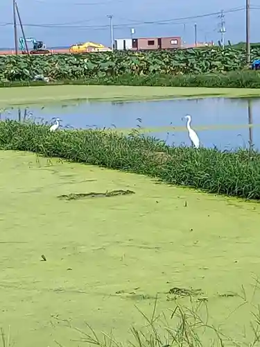 水天宮(茨城県)