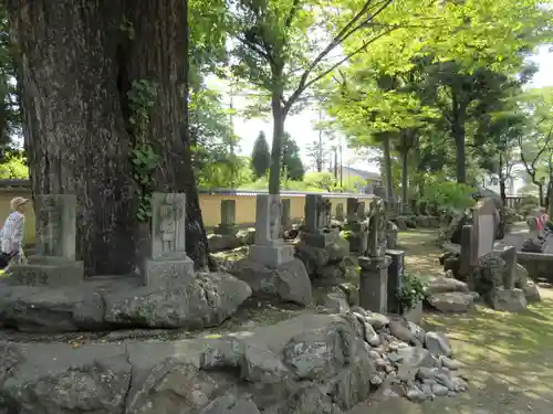 勝福寺の像