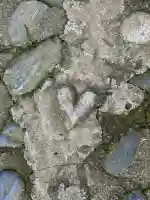 櫻井神社(福岡県)