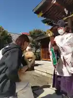 厄除の宮 駒林神社の体験その他