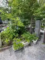 御霊神社の庭園