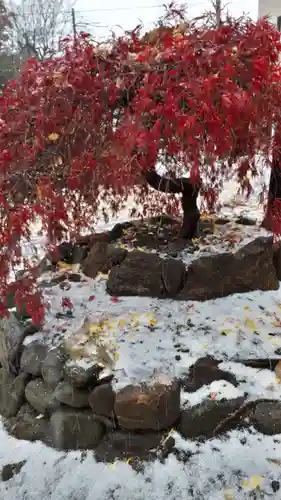 星置神社の自然