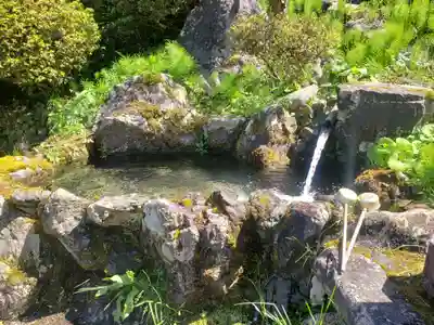 天徳寺の手水舎