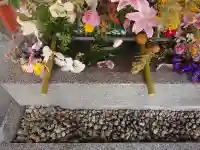 生田神社の{uncategorized: "未分類", other: "その他", undefined: "問題あり", building: "その他建物", grave: "お墓", sacred_gate: "鳥居", guardian: "狛犬", statue: "像", buddha: "仏像", history: "歴史", nature: "自然", garden: "庭園", animal: "動物", pagoda: "塔", temizu: "手水舎", mountain_gate: "山門・神門", sanctuary: "本殿・本堂", subordinate: "末社・摂社", art: "芸術", scenery: "景色", jizo: "地蔵", ema: "絵馬", goshuin: "御朱印", omikuji: "おみくじ", items: "授与品その他", amulet: "お守り", goshuincho: "御朱印帳", eats: "食事", festival: "お祭り", votive_dance: "神楽", shichigosan: "七五三参", wedding: "結婚式", experience: "体験その他", initially: "初詣", around: "周辺", anti_infection: "感染症対策"}