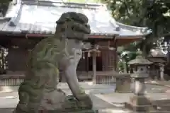 八坂神社の狛犬