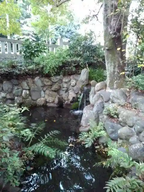 諏訪神社の自然