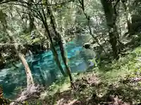 新四国八十八ヶ所巡り地蔵(熊本県)